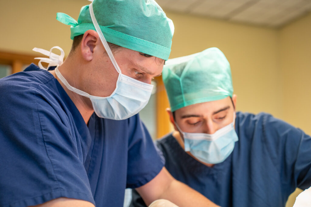 Rutland House Veterinary Hospital (Web) 025