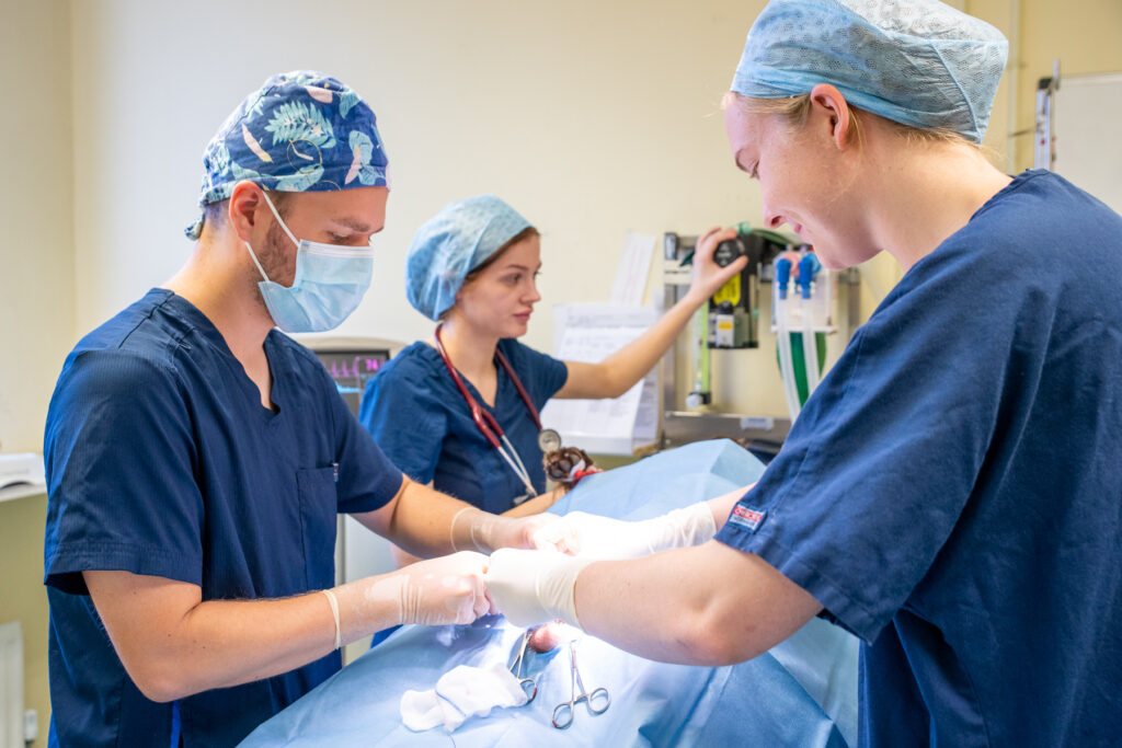 Rutland House (Web) 005