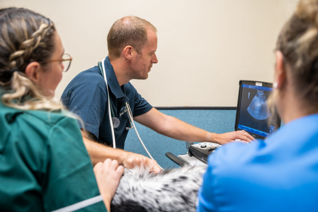 Rutland House (Web) 023