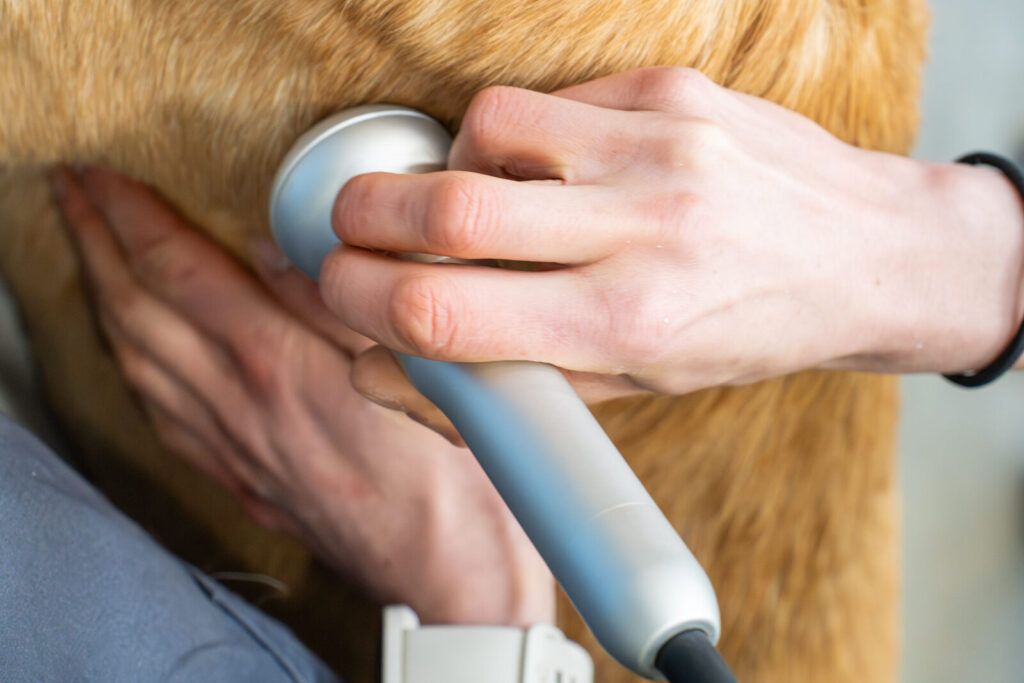 Oak Tree Vet Centre (Web) 084