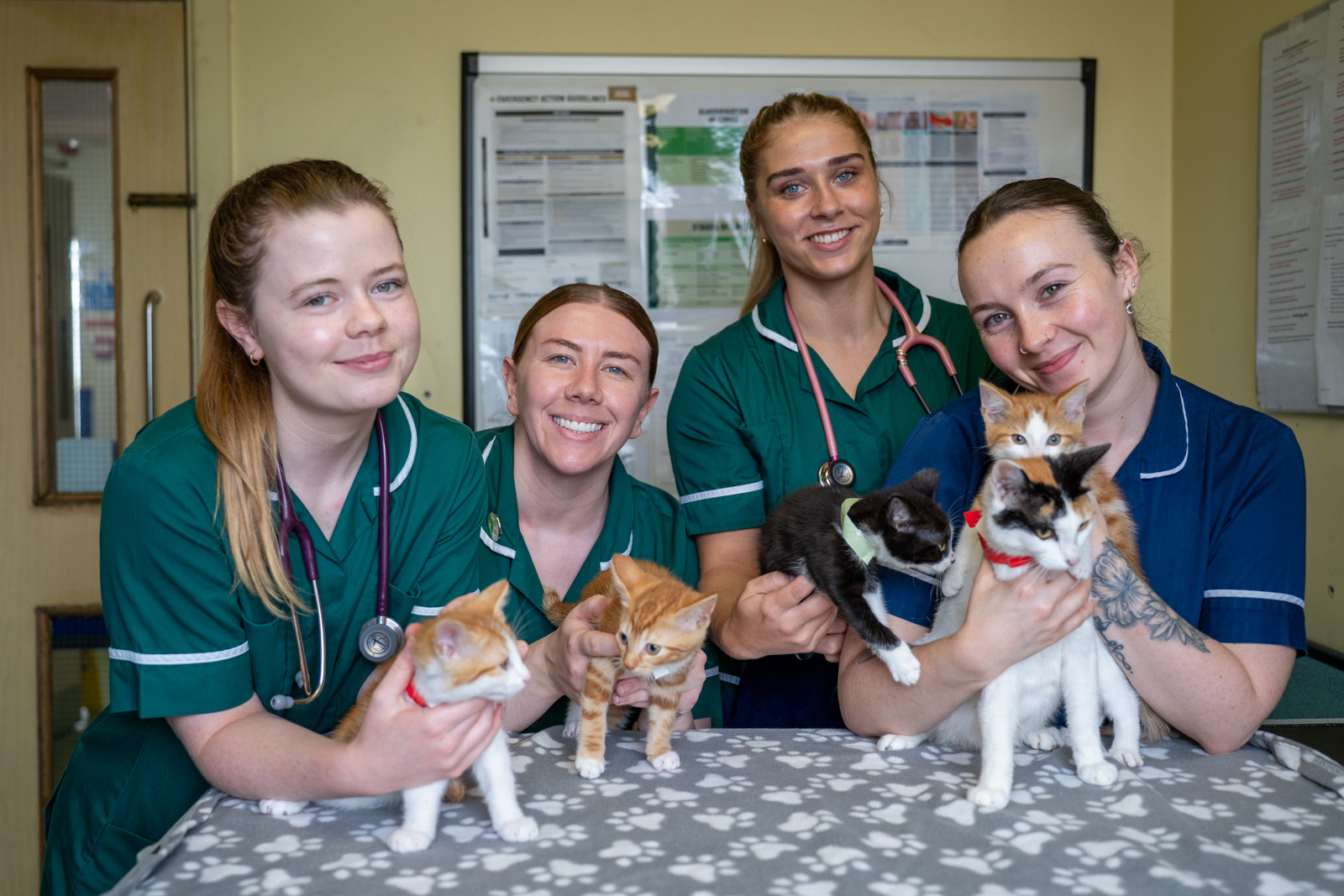 Rutland House Veterinary Hospital_Web Ready_Rutland House Veterinary Hospital (Web) 001